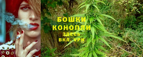 синтетический гашиш Заводоуковск