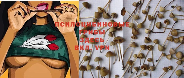 прущий лед Алексеевка