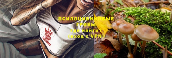 сатива Заволжск