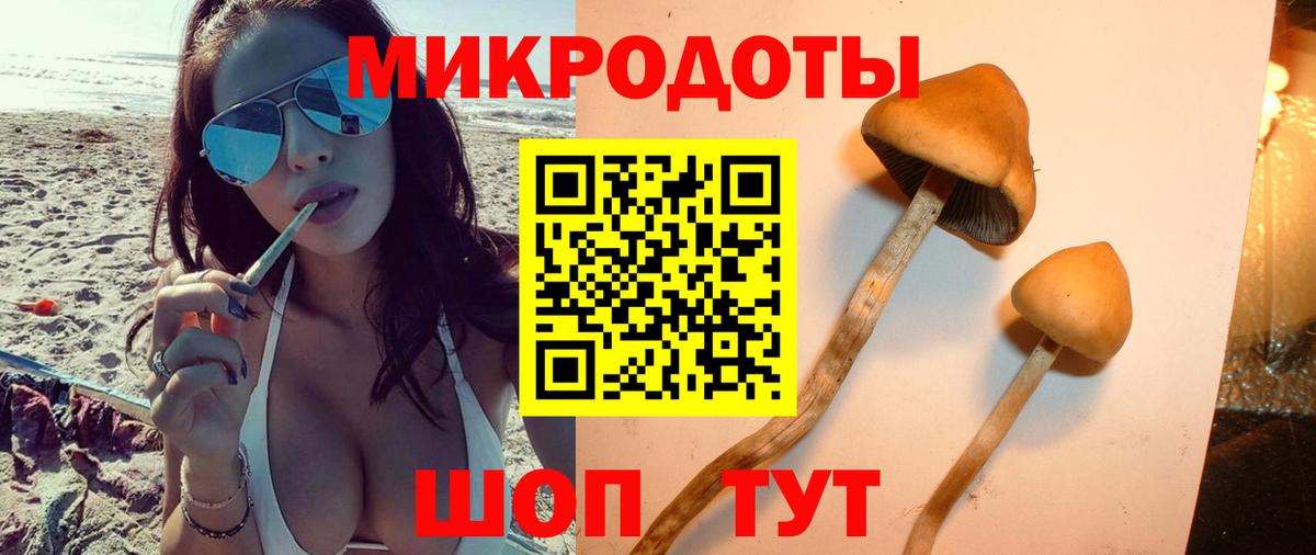 Архангельск  Псилоцибиновые грибы MAGIC MUSHROOMS  Вход с VPN  Галлюциногенные грибы GOLDEN TEACHER 